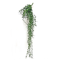 Rozlina dekoracyjna wisząca 70cm